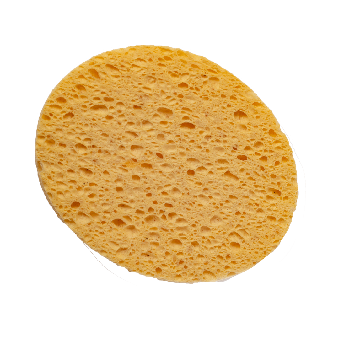 губка