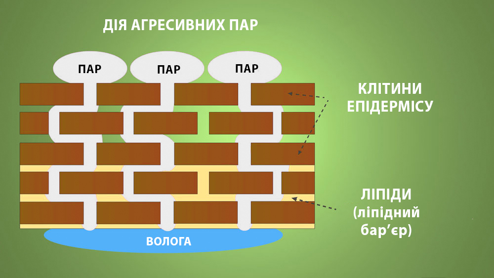 вплив засобу для вмивання на шкіру