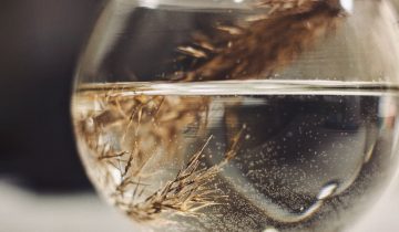 Наповнювачі, що знижують потенціал твого косметичного засобу